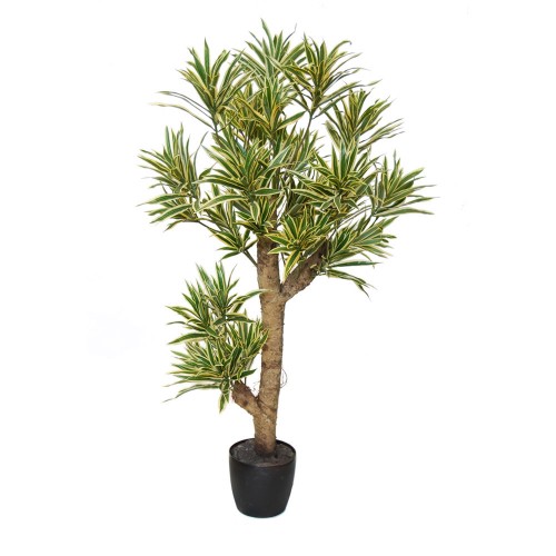 Planta semi-artificiala Ila, Dracaena Reflexa Plant Variegated - 120 cm